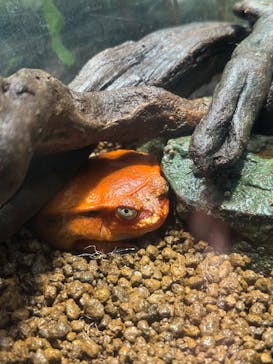 サンシャイン水族館に投稿された画像（2025/5/5）