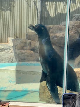 サンシャイン水族館に投稿された画像（2025/5/5）