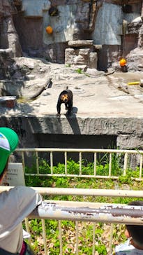 天王寺動物園に投稿された画像（2025/5/5）