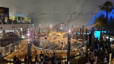 福井県立恐竜博物館に投稿された画像（2025/5/5）
