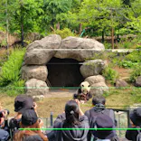恩賜上野動物園に投稿された画像（2025/5/5）