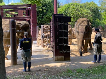 恩賜上野動物園に投稿された画像（2025/5/5）