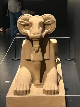 MYSTERY OF TUTANKHAMEN 体感型古代エジプト展に投稿された画像（2025/5/5）