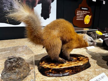  うんち展　-No UNCHI, No LIFE-に投稿された画像（2025/5/5）