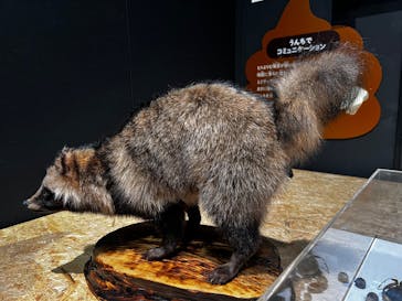  うんち展　-No UNCHI, No LIFE-に投稿された画像（2025/5/5）