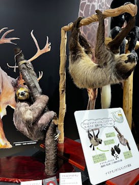  うんち展　-No UNCHI, No LIFE-に投稿された画像（2025/5/5）