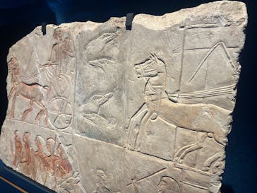 ACN ラムセス大王展 ファラオたちの黄金に投稿された画像（2025/5/5）