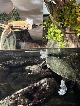 サンシャイン水族館に投稿された画像（2025/5/5）