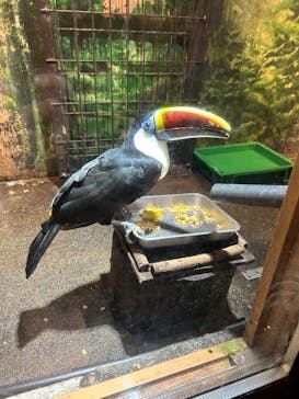 伊豆シャボテン動物公園に投稿された画像（2025/5/5）