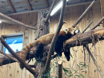 伊豆シャボテン動物公園に投稿された画像（2025/5/5）