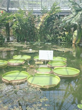 熱川バナナワニ園に投稿された画像（2025/5/5）