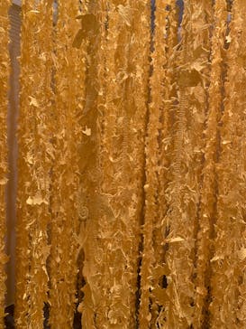 ポケモン×工芸展－美とわざの大発見－に投稿された画像（2025/5/5）