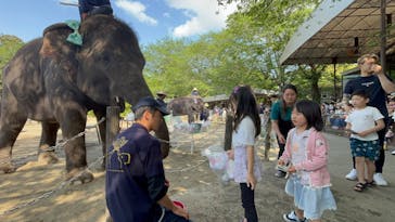 ANIMAL WONDER REZOURT 市原ぞうの国・サユリワールドに投稿された画像（2025/5/5）