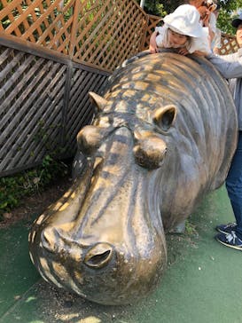 天王寺動物園に投稿された画像（2025/5/5）