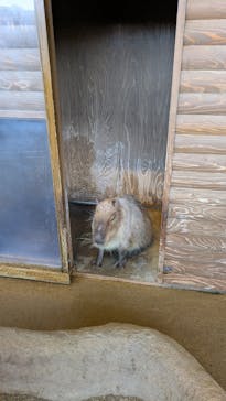 新江ノ島水族館に投稿された画像（2025/5/5）