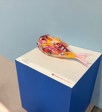 ギョギョッとサカナ★スター展に投稿された画像（2025/5/5）