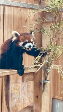 名古屋市東山動植物園に投稿された画像（2025/5/5）