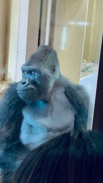 名古屋市東山動植物園に投稿された画像（2025/5/5）