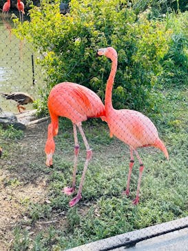 名古屋市東山動植物園に投稿された画像（2025/5/5）