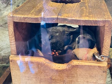 名古屋市東山動植物園に投稿された画像（2025/5/5）