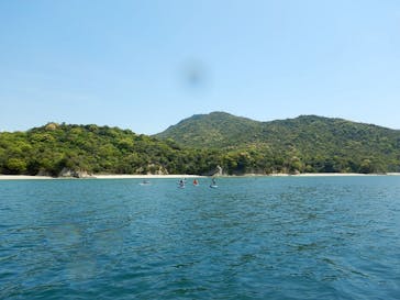 TEAM NARU（チームナルー）に投稿された画像（2025/5/5）