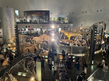 福井県立恐竜博物館に投稿された画像（2025/5/5）