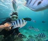 青の洞窟専門店　沖縄ダイビングショップ和に投稿された画像（2025/5/5）