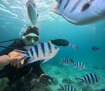 青の洞窟専門店　沖縄ダイビングショップ和に投稿された画像（2025/5/5）