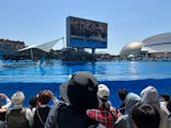 名古屋港水族館に投稿された画像（2025/5/5）