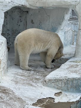 天王寺動物園に投稿された画像（2025/5/5）