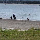 横浜・八景島シーパラダイスに投稿された画像（2025/5/5）