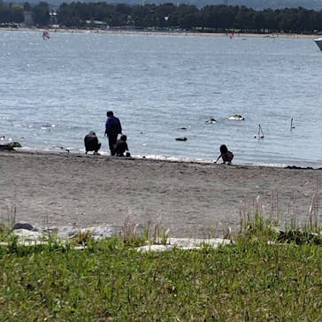 横浜・八景島シーパラダイスに投稿された画像（2025/5/5）
