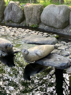 箱根園水族館に投稿された画像（2025/5/5）