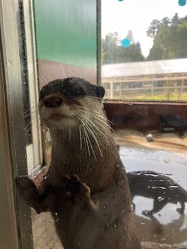 箱根園水族館に投稿された画像（2025/5/5）