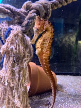 箱根園水族館に投稿された画像（2025/5/5）