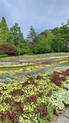 大阪府立花の文化園に投稿された画像（2025/5/5）