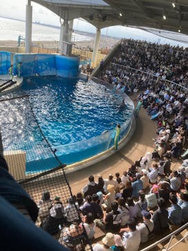 新江ノ島水族館に投稿された画像（2025/5/5）