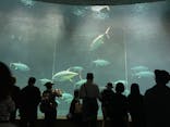 葛西臨海水族園に投稿された画像（2025/5/5）