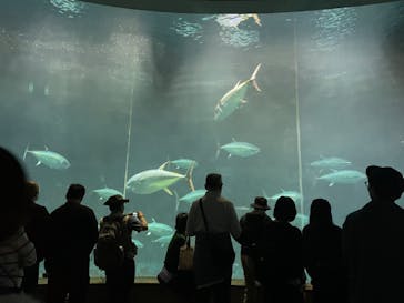 葛西臨海水族園に投稿された画像（2025/5/5）