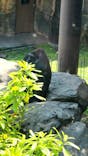 恩賜上野動物園に投稿された画像（2025/5/5）