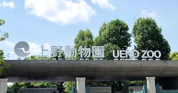 恩賜上野動物園に投稿された画像（2025/5/5）