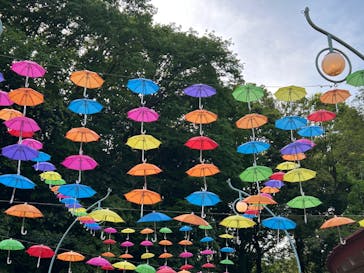 ムーミンバレーパークに投稿された画像（2025/5/5）