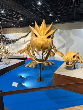 福井県立恐竜博物館に投稿された画像（2025/5/5）