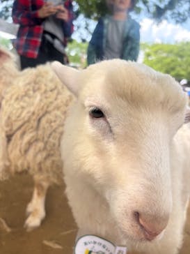 成田ゆめ牧場に投稿された画像（2025/5/5）