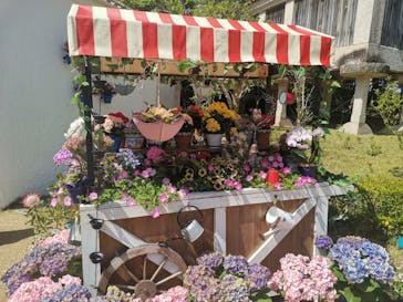 志摩スペイン村パルケエスパーニャに投稿された画像（2025/5/5）