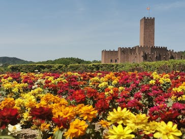 志摩スペイン村パルケエスパーニャに投稿された画像（2025/5/5）