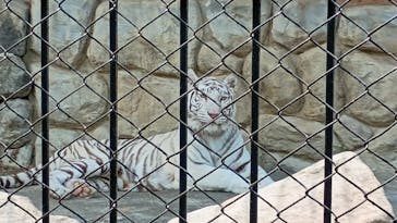 東武動物公園に投稿された画像（2025/5/5）