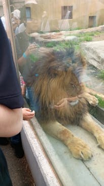 東武動物公園に投稿された画像（2025/5/5）