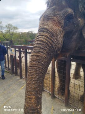 那須サファリパークに投稿された画像（2025/5/5）