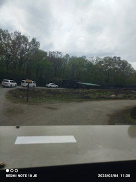 那須サファリパークに投稿された画像（2025/5/5）